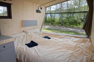 a bed in a tiny house with two blue pillows on it at Sleep Space 3 - Salemer See in Salem