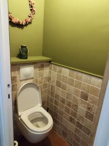 a bathroom with a toilet and a green wall at Le Mas Miliane vous accueille in Sainte-Maxime