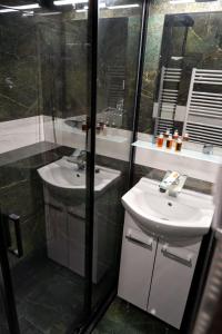 uma casa de banho com um lavatório e um chuveiro em Hotel Raj em Dedinky