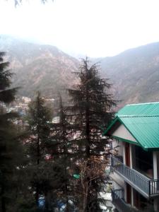un groupe d'arbres devant une montagne dans l'établissement Himalayan Hostel, à Dharamshala