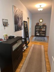 a room with a dresser and a picture of a tiger at Lakeview central residence in Savonlinna