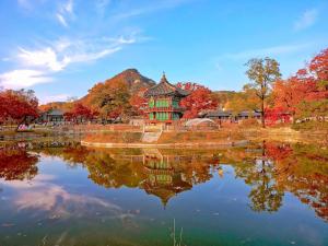 首尔'Hanok Hanok' Boutique stay Hotel Seoul - 2min from Gyeongbokgung Palace station的树木在湖中建筑的反射