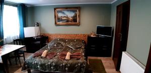Schlafzimmer mit einem Bett, einem Tisch und einem TV in der Unterkunft WILLA Jugowice in Jugowice