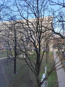 a tree with no leaves in front of a building at Hegin Exclusiv Home in Budapest