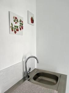 fregadero de cocina con 2 cuadros en la pared en Casa 4 Saisons - Studio - Piscine et Jardin - Brive, en Brive-la-Gaillarde
