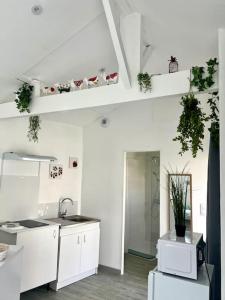 cocina blanca con fregadero y encimera en Casa 4 Saisons - Studio - Piscine et Jardin - Brive, en Brive-la-Gaillarde