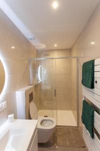 uma casa de banho com um chuveiro, um WC e um lavatório. em Le Refuge Valencien - Douceur et Élégance em Valence-sur-Baïse