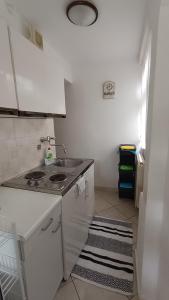 Il comprend une petite cuisine équipée d'un évier et d'une cuisinière. dans l'établissement Apartments Gabriela, à Poreč
