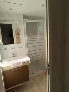 y baño con lavabo y ducha. en Mobilhome Caraibes en Oye-Plage