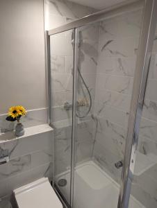 a white bathroom with a shower and a toilet at 2 Bed Apt,Parking,Long Stay Offers,Reading Centre in Reading