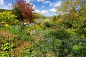 a garden with many different plants and trees at Rhiwson Uchaf Llanwenog in Llanwenog