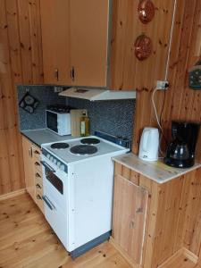 Edebäck的住宿－Elanden rust，一间带白色炉灶的厨房 台旁的顶部烤箱
