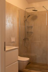 uma casa de banho com um chuveiro, um WC e um lavatório. em Neue VILLA ROSE Fazana em Pula
