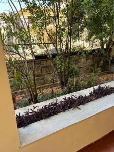 a garden with purple flowers and a stone wall at Casa Aconchegante-Rio de janeiro in Rio de Janeiro