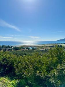 Gallery image of Villa Margarita in Samos