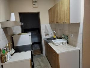 eine kleine Küche mit einer Spüle und einer Theke in der Unterkunft Apartman Tina in Sokobanja