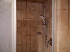 a shower with a shower head in a bathroom at Ferienwohnung in Weichs in Weichs