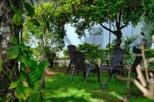 cuatro sillas sentadas en el césped bajo los árboles en Pousada Garden das Flores, en Chapada dos Guimarães