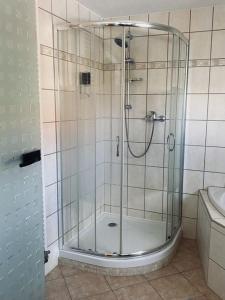 y baño con ducha y puerta de cristal. en Gästehaus Theo, en Gotha