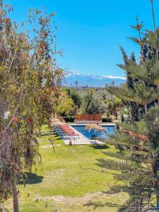 un patio con piscina y algunos árboles en LE BLED DE GRE, en Marrakech
