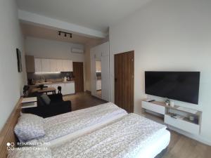 Apartamenty na Ceglanej في أوشفيتز: غرفة نوم بسرير وتلفزيون بشاشة مسطحة