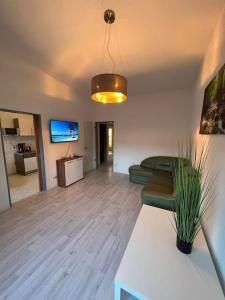 uma sala de estar com um sofá verde e uma televisão em Fewo 3 em Gotha