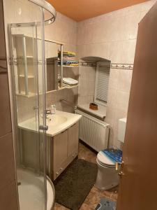 uma casa de banho com um chuveiro, um lavatório e um WC. em Apartment Sonne&Luft em Bad Bleiberg
