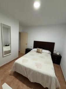 um quarto com uma cama grande e um espelho em Apartamento La Jerezana em Jerez de la Frontera