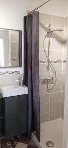 La salle de bains est pourvue d'un rideau de douche et d'un lavabo. dans l'établissement Petite maison indépendante, au Havre