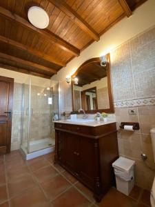 a bathroom with a sink and a shower and a toilet at El Olivar Lidia in Puerto del Rosario