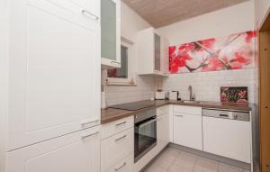 Η κουζίνα ή μικρή κουζίνα στο Awesome Home In Pozla Gora +28 φωτογραφίες