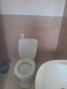 a bathroom with a white toilet and a sink at Holiday Home Ekaterine in Telavi