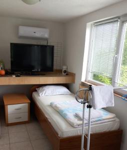 Schlafzimmer mit einem Bett und einem Flachbild-TV in der Unterkunft Holidaymakers Bosanska Krupa in Bosanska Krupa
