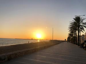 una spiaggia con una palma e il tramonto di Apartment Escor a Segur de Calafell