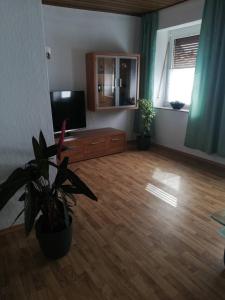 een woonkamer met een televisie en een potplant bij Gartenland Gela in Kitzingen