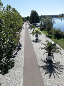 Una pasarela con plantas en macetas junto a un lago. en Gartenland Gela, en Kitzingen