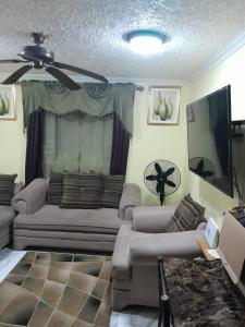 a living room with a couch and a ceiling fan at Shauna apartment in Charlton