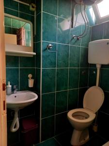 bagno verde con servizi igienici e lavandino di Apartments Kaludjerovic a Herceg-Novi
