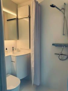 La salle de bains est pourvue de toilettes, d'un lavabo et d'une douche. dans l'établissement Charming Tiny Garden House for two, à Lucerne