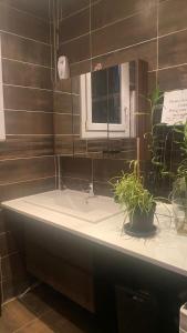 een badkamer met een wastafel, een spiegel en een plant bij Chambre Solo Duo 20 min Paris in Drancy