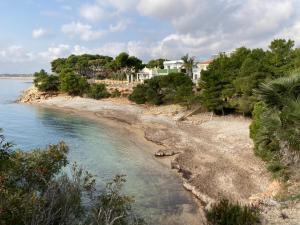 a view of a beach with houses and trees at El Milagro in L'Ampolla