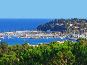 キャヴァレール・シュル・メールにあるStudio Cavalaire-sur-Mer, 1 pièce, 3 personnes - FR-1-100-119の水中の船がたくさん詰まった港