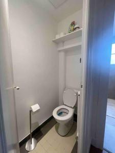 La salle de bains est pourvue de toilettes blanches. dans l'établissement La Liberté-centre-ville-proche-Gare, à Rennes