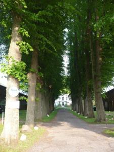 eine Reihe von Bäumen, die auf einer unbefestigten Straße liegen in der Unterkunft Ferienwohnung 1 auf einem Bioland-Gutshof, in Ostseenähe und direkt am Golfplatz Curau in Stockelsdorf