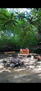 un grupo de bancos en un parque con árboles en CABAÑA en Eco Posada Tierra Fértil en Santa Ana