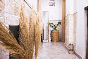 a hallway with a stone wall with potted plants at Onar Syros - Rustic Rooms in Ermoupoli