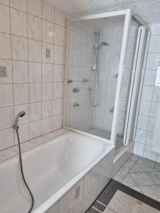 Koupelna v ubytování Ferienwohnung Panorama mit Weitblick