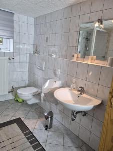 Koupelna v ubytování Ferienwohnung Panorama mit Weitblick