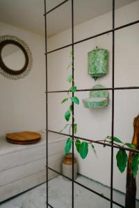 un estante con una planta en una habitación en Eco-friendly WelnessCabin in Liglet en Liglet