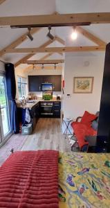 een woonkamer met een bank en een keuken bij Beautiful Cabin near Padstow in Padstow